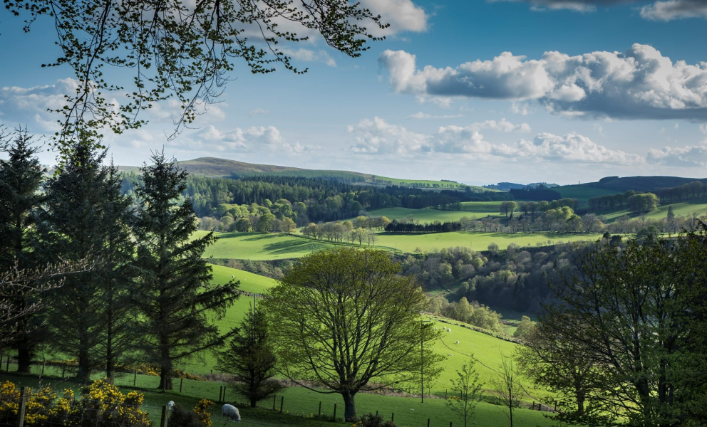 Image of the Angus countryside